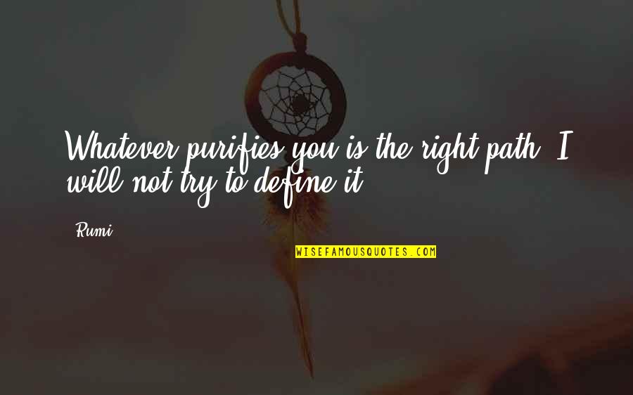 Suliat Balogun Quotes By Rumi: Whatever purifies you is the right path, I