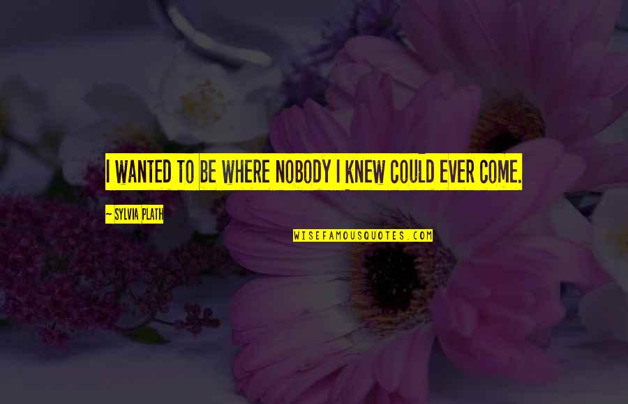 Sulkers Quotes By Sylvia Plath: I wanted to be where nobody I knew