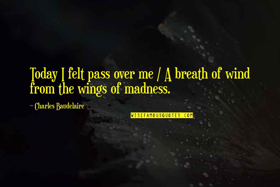 Sulkily Quotes By Charles Baudelaire: Today I felt pass over me / A