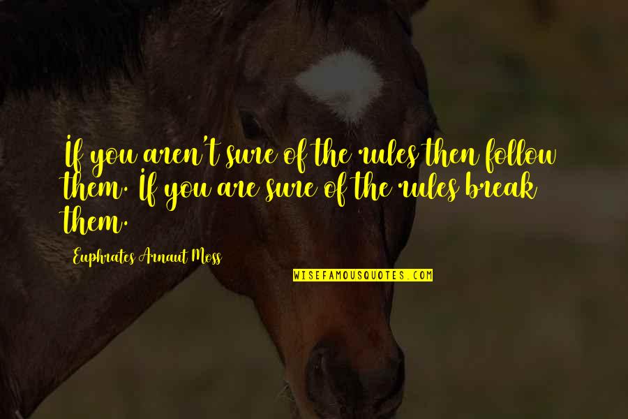 Sullae Rothy Quotes By Euphrates Arnaut Moss: If you aren't sure of the rules then Sullae Rothy Quotes By Euphrates Arnaut Moss: If you aren't sure of the rules then