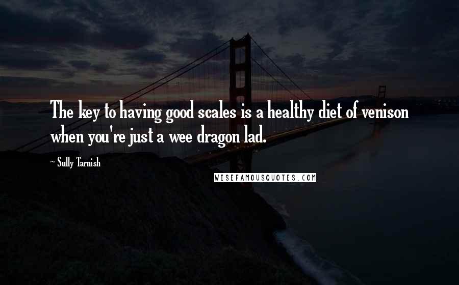 Sully Tarnish quotes: The key to having good scales is a healthy diet of venison when you're just a wee dragon lad.