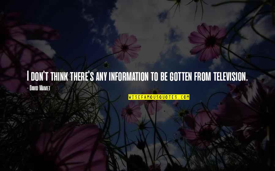 Sulorid Quotes By David Mamet: I don't think there's any information to be