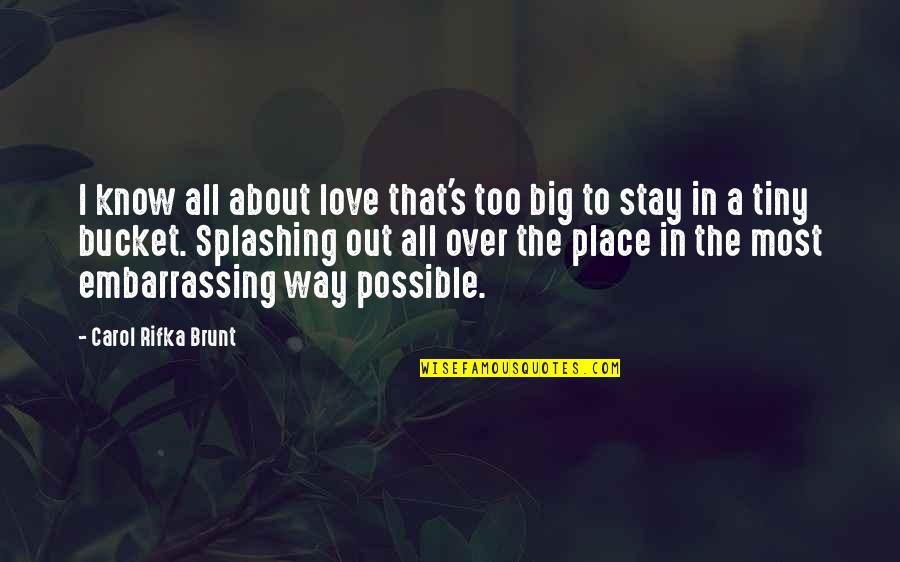 Sultria Demirjian Quotes By Carol Rifka Brunt: I know all about love that's too big