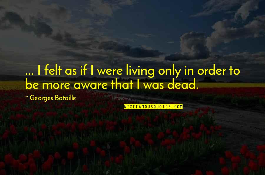 Sultry Song Quotes By Georges Bataille: ... I felt as if I were living