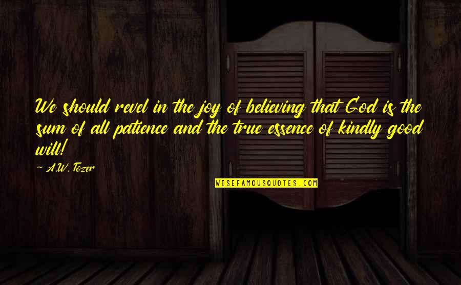 Sum Good Quotes By A.W. Tozer: We should revel in the joy of believing