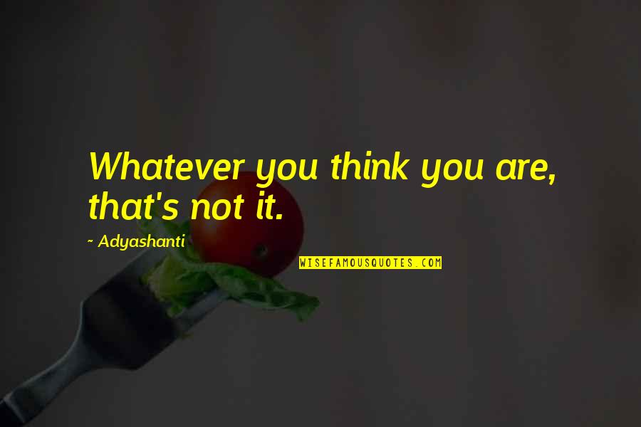 Sumando Energias Quotes By Adyashanti: Whatever you think you are, that's not it.