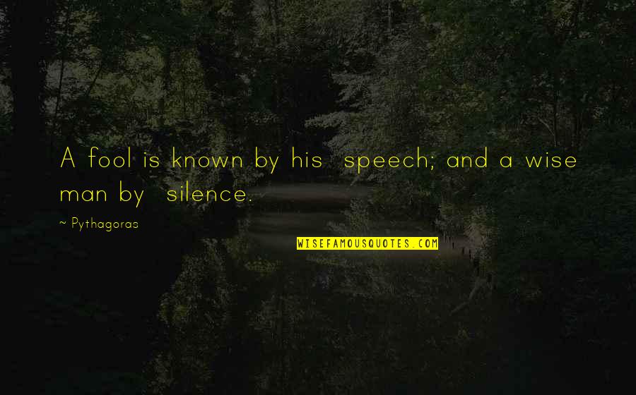 Sumann Birthplace Quotes By Pythagoras: A fool is known by his speech; and