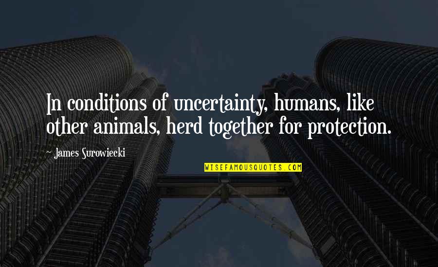 Sumara Hospitality Quotes By James Surowiecki: In conditions of uncertainty, humans, like other animals,