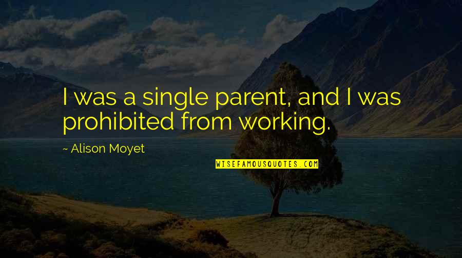 Sumisas Definicion Quotes By Alison Moyet: I was a single parent, and I was Sumisas Definicion Quotes By Alison Moyet: I was a single parent, and I was