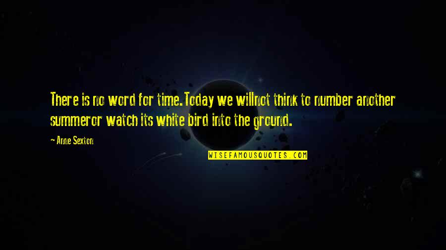 Summer Bird Quotes By Anne Sexton: There is no word for time.Today we willnot Summer Bird Quotes By Anne Sexton: There is no word for time.Today we willnot