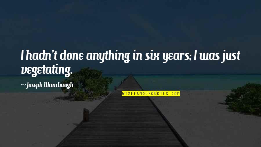 Summer Fields Quotes By Joseph Wambaugh: I hadn't done anything in six years; I