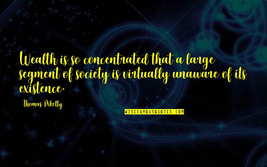 Summer Fun Memories Quotes By Thomas Piketty: Wealth is so concentrated that a large segment