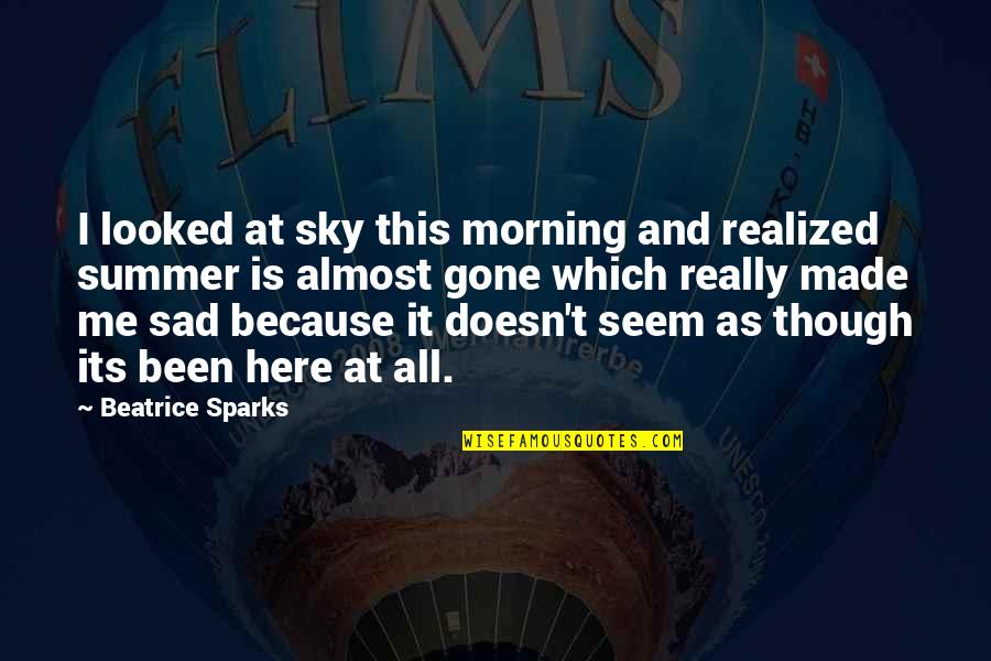 Summer Gone Quotes By Beatrice Sparks: I looked at sky this morning and realized