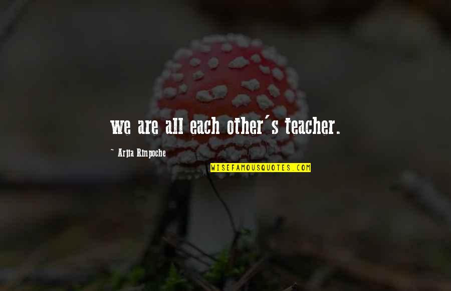 Summer Hair Color Quotes By Arjia Rinpoche: we are all each other's teacher.