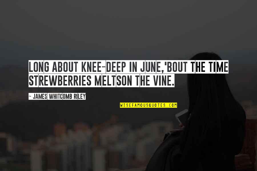 Summer June Quotes By James Whitcomb Riley: Long about knee-deep in June,'Bout the time strewberries Summer June Quotes By James Whitcomb Riley: Long about knee-deep in June,'Bout the time strewberries
