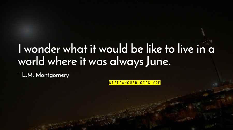 Summer June Quotes By L.M. Montgomery: I wonder what it would be like to