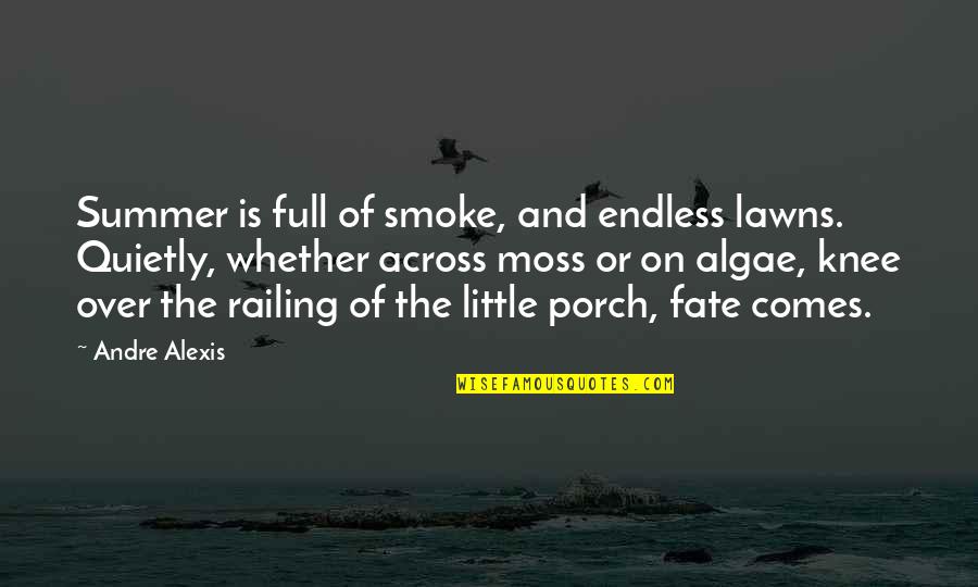 Summer Porch Quotes By Andre Alexis: Summer is full of smoke, and endless lawns.