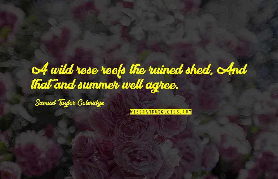 Summer Roses Quotes By Samuel Taylor Coleridge: A wild rose roofs the ruined shed, And