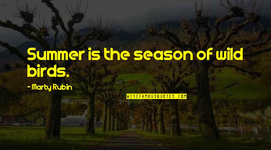 Summer Season Quotes By Marty Rubin: Summer is the season of wild birds.