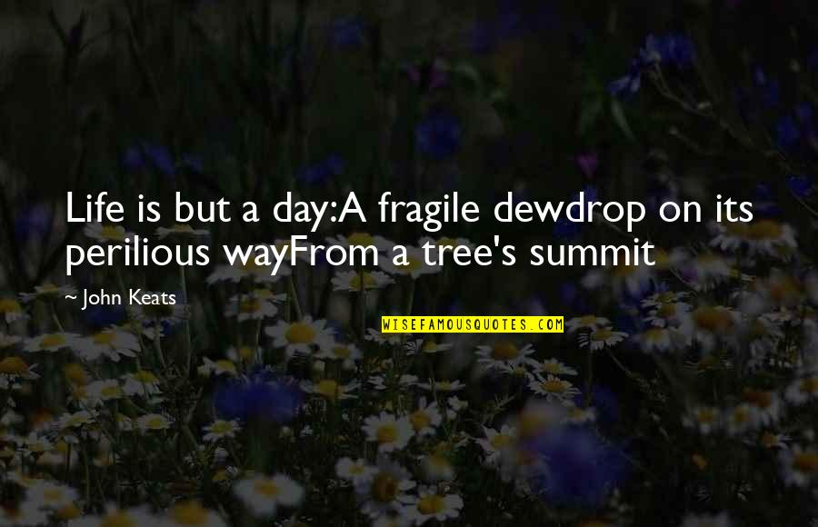 Summit Quotes By John Keats: Life is but a day:A fragile dewdrop on