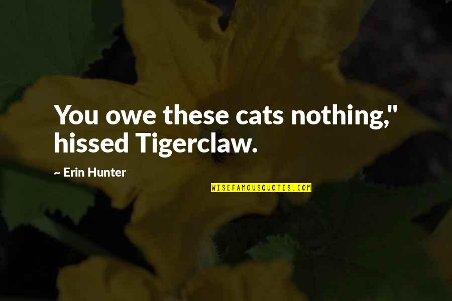 Summoned By Accident Quotes By Erin Hunter: You owe these cats nothing," hissed Tigerclaw.