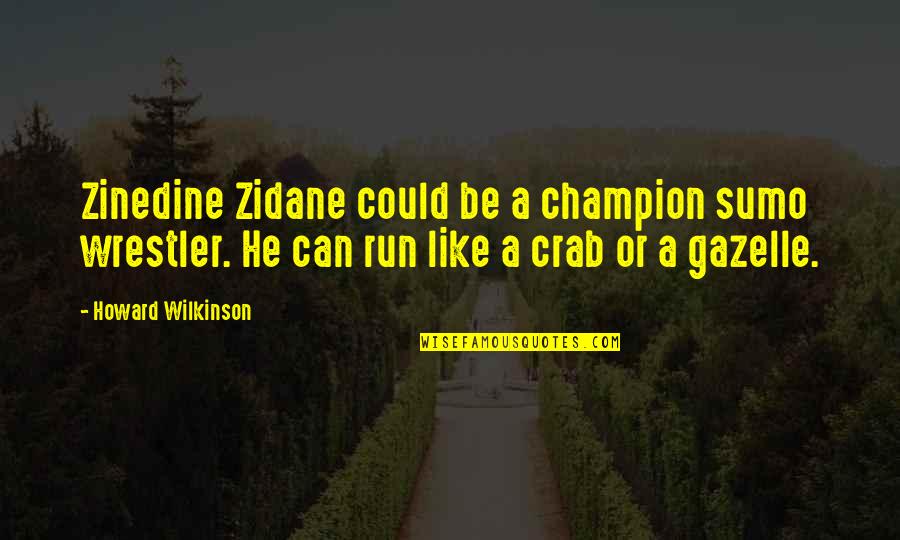 Sumo Wrestler Quotes By Howard Wilkinson: Zinedine Zidane could be a champion sumo wrestler.
