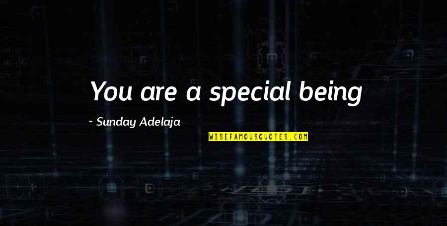 Sumo Wrestling Quotes By Sunday Adelaja: You are a special being