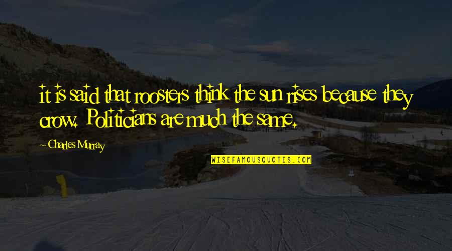 Sun Also Rises Quotes By Charles Murray: it is said that roosters think the sun Sun Also Rises Quotes By Charles Murray: it is said that roosters think the sun