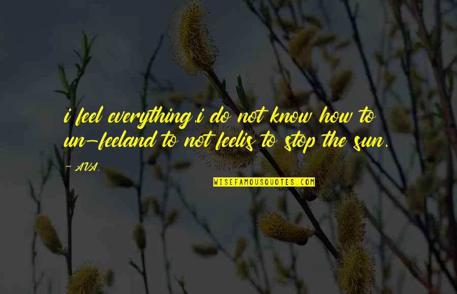 Sun And Love Quotes By AVA.: i feel everything.i do not know how to