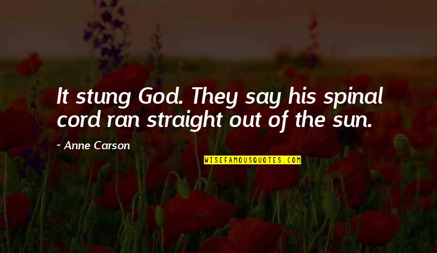 Sun God Quotes By Anne Carson: It stung God. They say his spinal cord