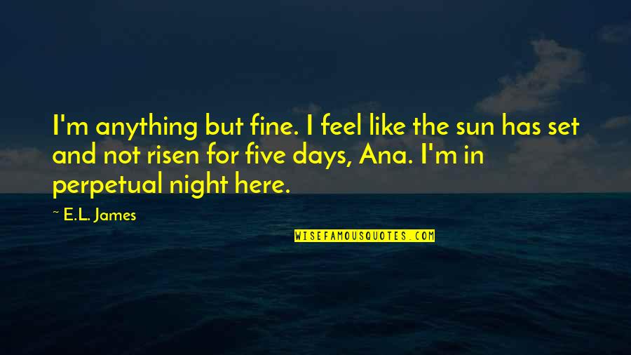 Sun Has Risen Quotes By E.L. James: I'm anything but fine. I feel like the