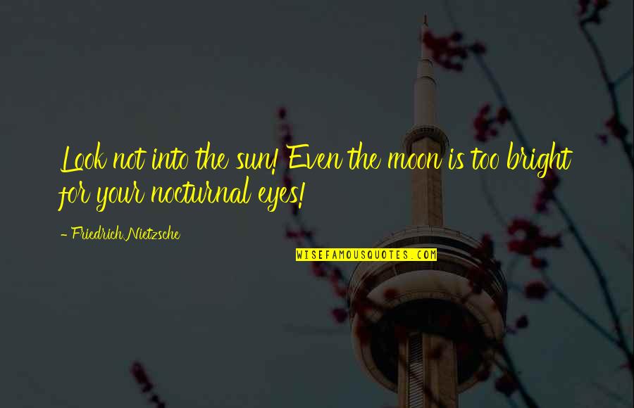 Sun In Eyes Quotes By Friedrich Nietzsche: Look not into the sun! Even the moon