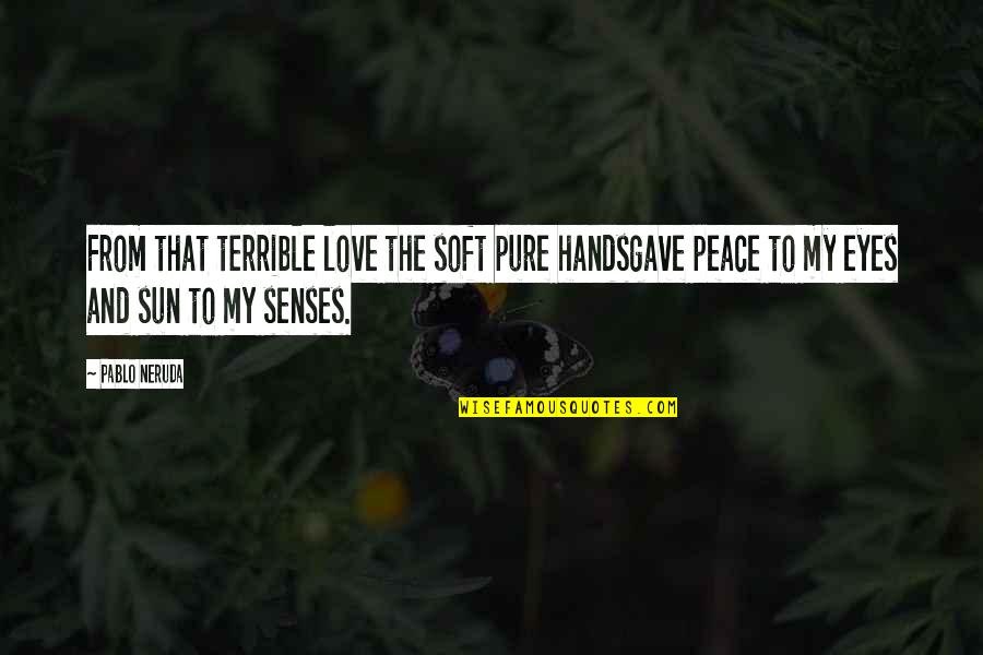 Sun In The Eyes Quotes By Pablo Neruda: From that terrible love the soft pure handsgave