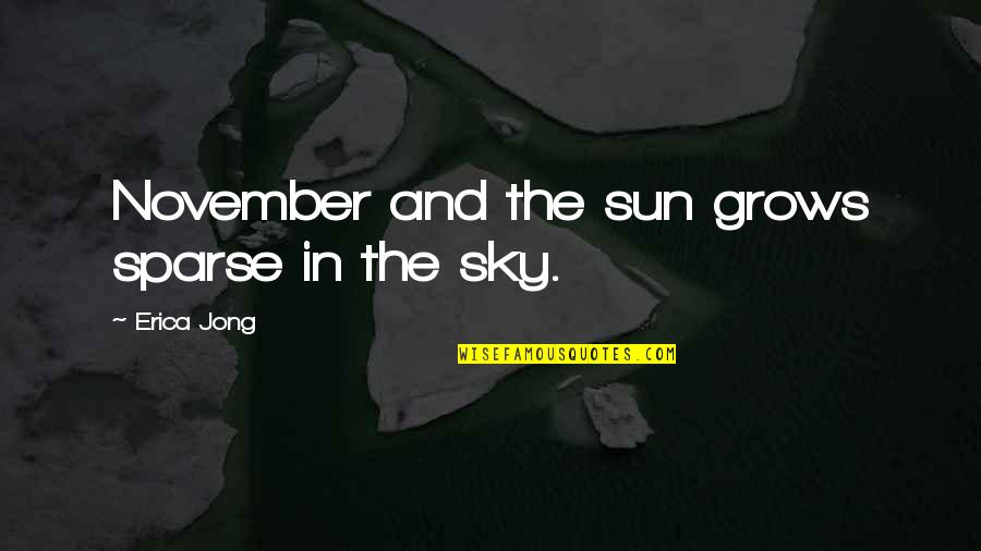 Sun In The Sky Quotes By Erica Jong: November and the sun grows sparse in the