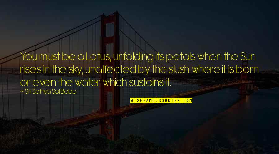 Sun In The Sky Quotes By Sri Sathya Sai Baba: You must be a Lotus, unfolding its petals