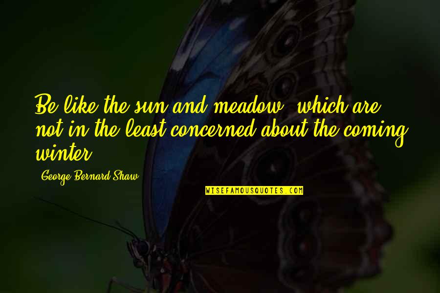 Sun In Winter Quotes By George Bernard Shaw: Be like the sun and meadow, which are