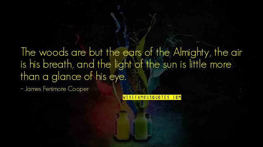 Sun In Your Eye Quotes By James Fenimore Cooper: The woods are but the ears of the