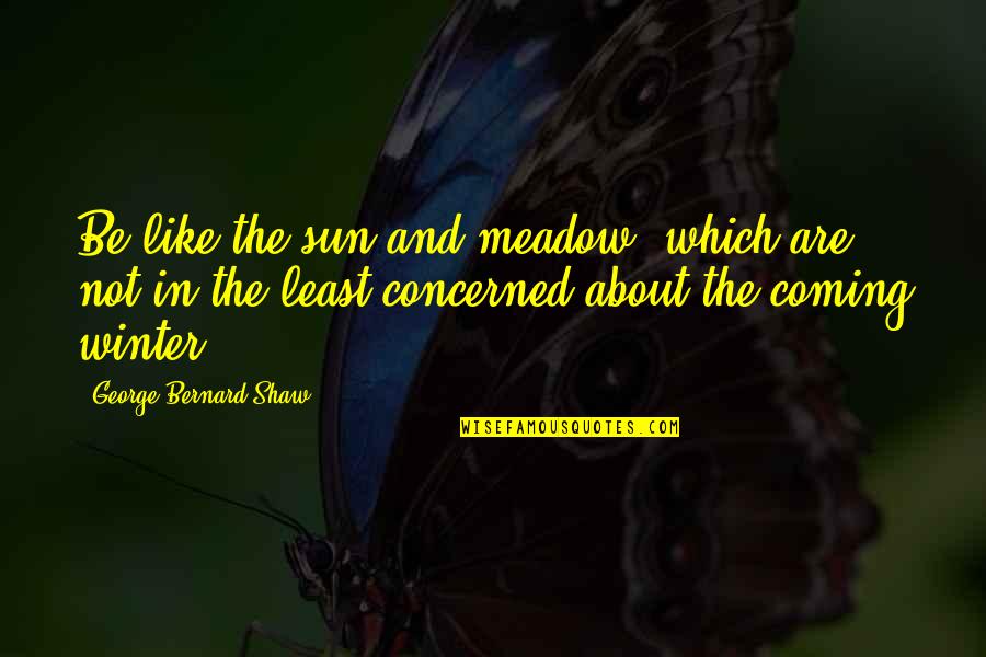 Sun Is Coming Out Quotes By George Bernard Shaw: Be like the sun and meadow, which are Sun Is Coming Out Quotes By George Bernard Shaw: Be like the sun and meadow, which are