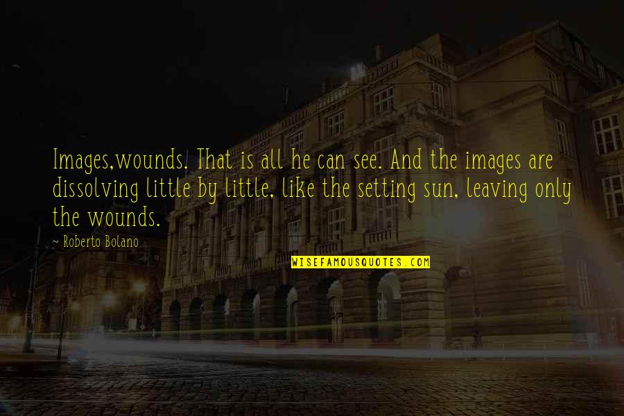 Sun Is Setting Quotes By Roberto Bolano: Images,wounds. That is all he can see. And