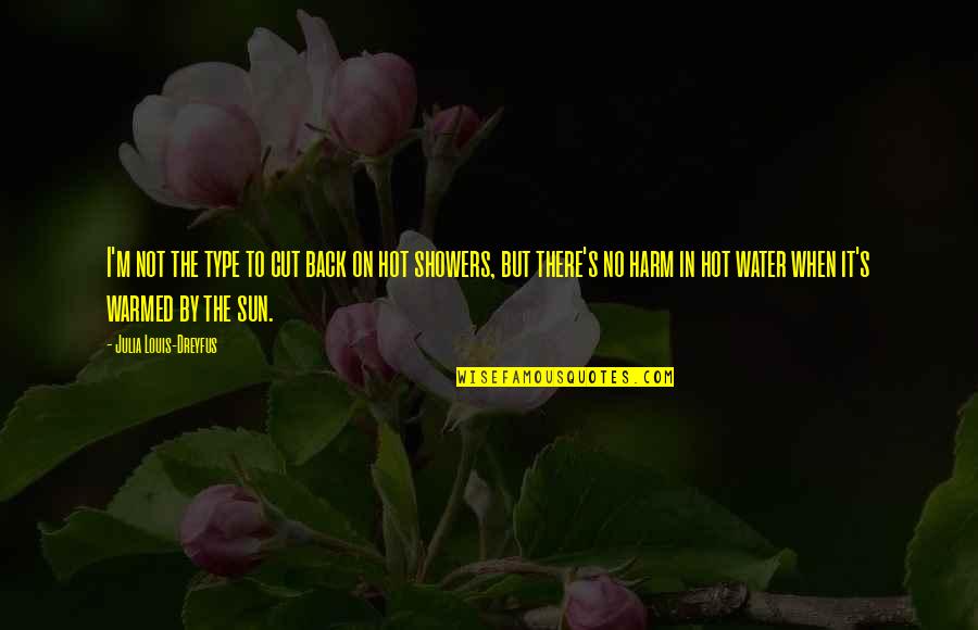 Sun Is Too Hot Quotes By Julia Louis-Dreyfus: I'm not the type to cut back on