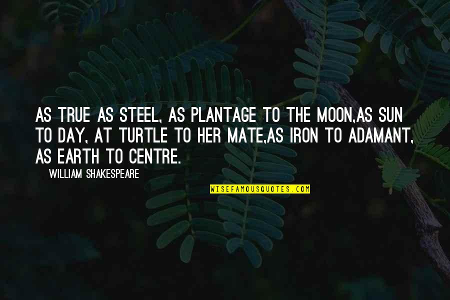 Sun Moon And Earth Quotes By William Shakespeare: As true as steel, as plantage to the