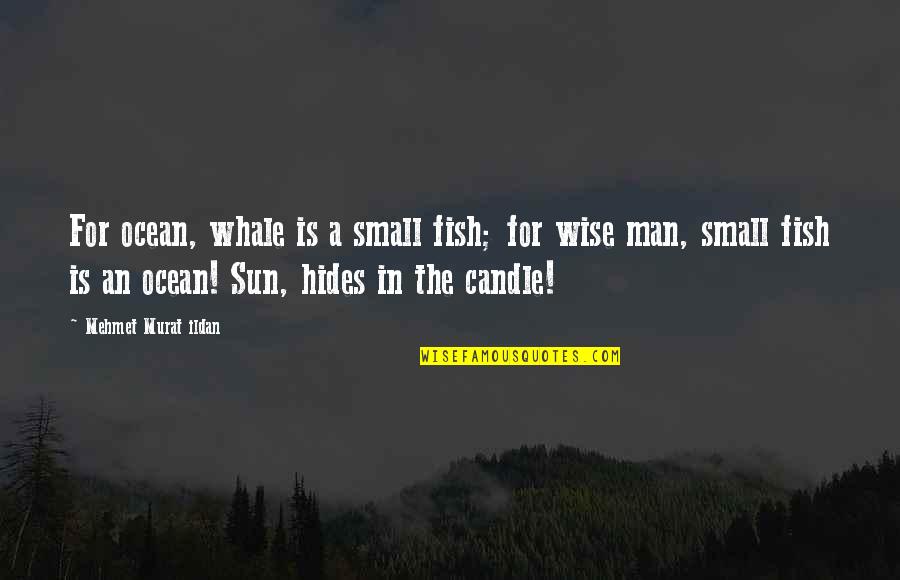 Sun Ocean Quotes By Mehmet Murat Ildan: For ocean, whale is a small fish; for
