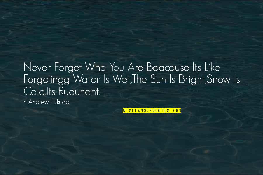 Sun On The Water Quotes By Andrew Fukuda: Never Forget Who You Are Beacause Its Like