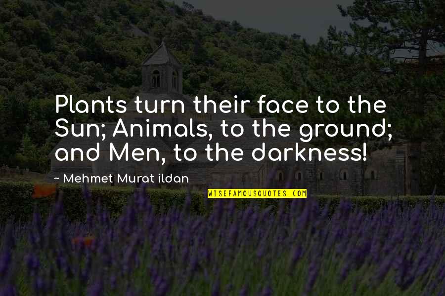 Sun On Your Face Quotes By Mehmet Murat Ildan: Plants turn their face to the Sun; Animals,