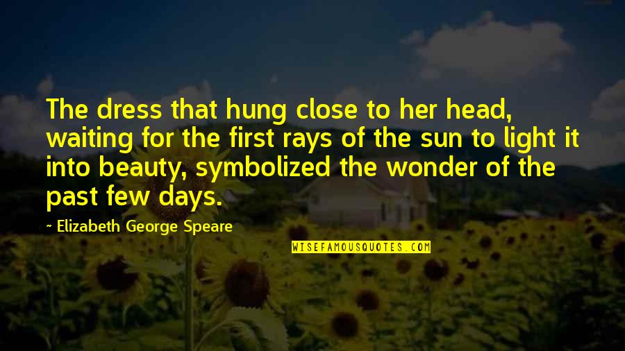 Sun Rays Quotes By Elizabeth George Speare: The dress that hung close to her head,