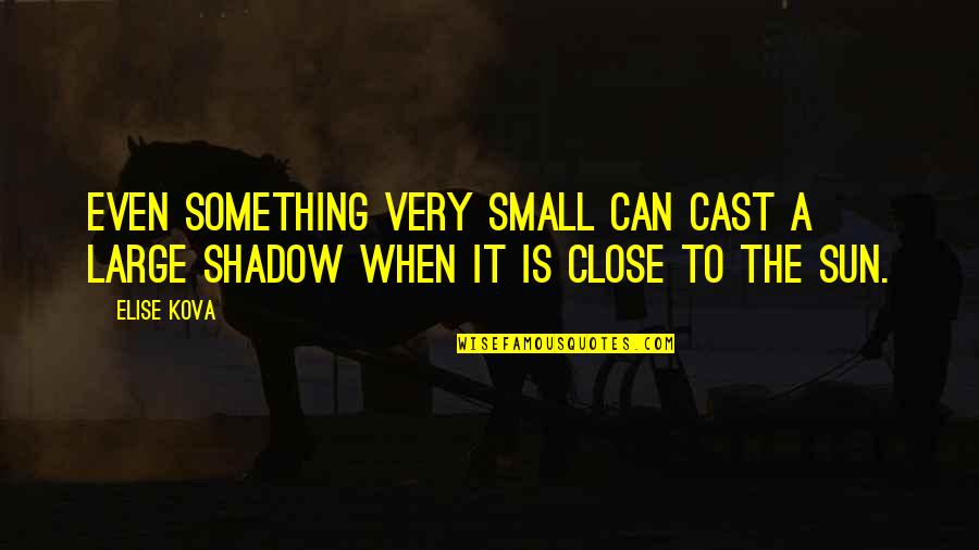 Sun Shadow Quotes By Elise Kova: Even something very small can cast a large