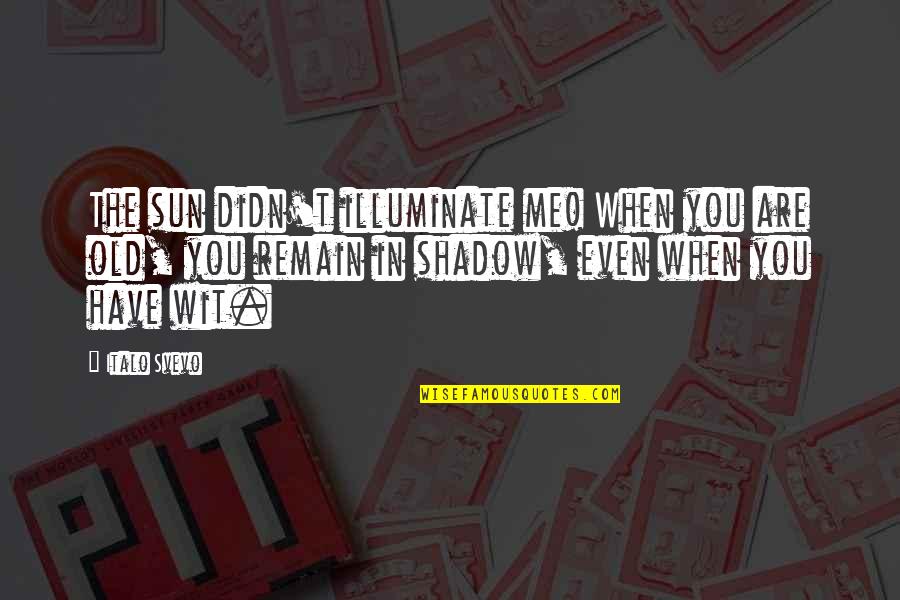 Sun Shadow Quotes By Italo Svevo: The sun didn't illuminate me! When you are Sun Shadow Quotes By Italo Svevo: The sun didn't illuminate me! When you are