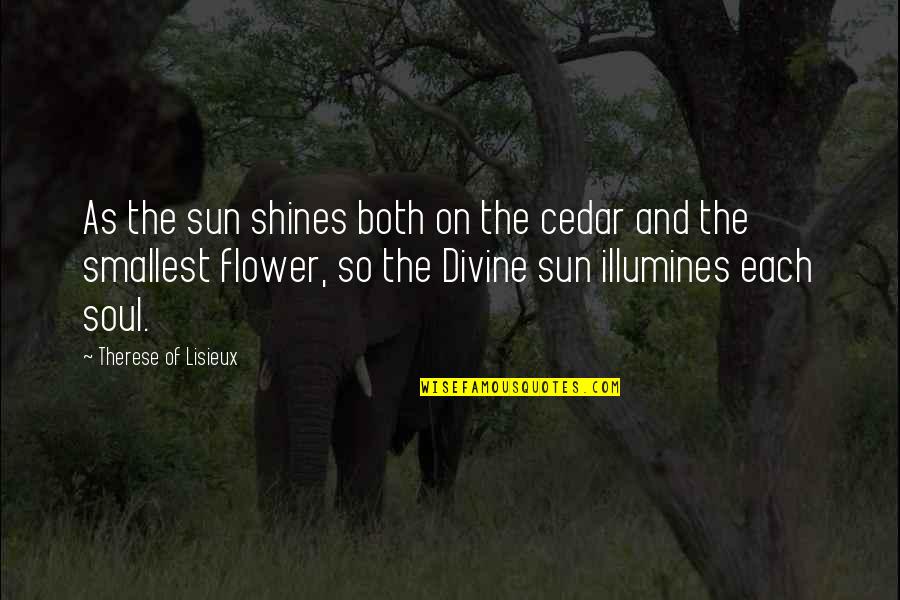 Sun Shines Quotes By Therese Of Lisieux: As the sun shines both on the cedar