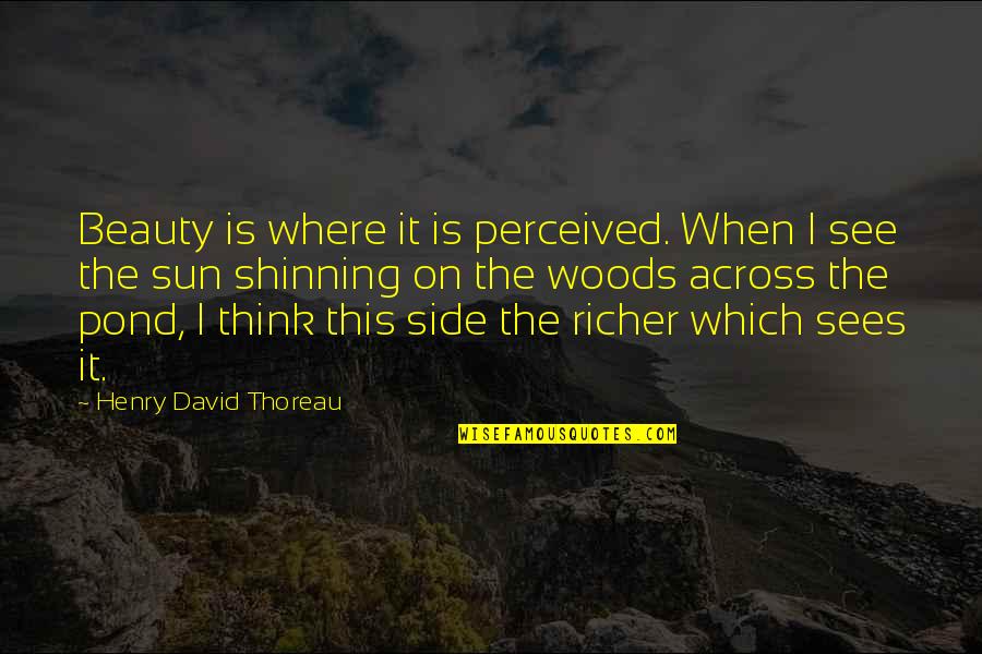 Sun Side Quotes By Henry David Thoreau: Beauty is where it is perceived. When I