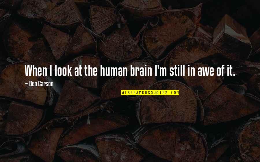 Sunanimalcule Quotes By Ben Carson: When I look at the human brain I'm
